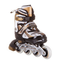 Роликовые коньки на алюминиевой раме